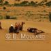 Dans les dunes de Jaisalmer
